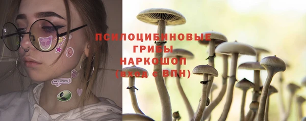 дживик Алзамай