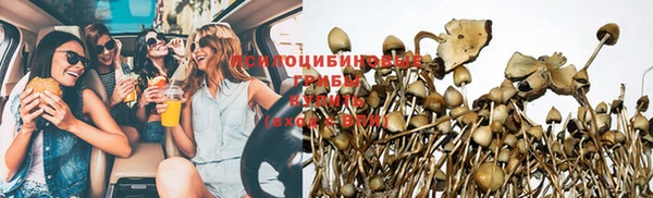 бошки Алексеевка