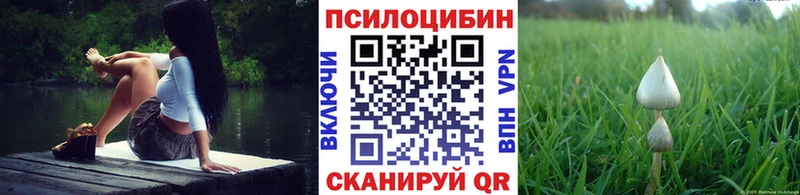 Псилоцибиновые грибы GOLDEN TEACHER  mega рабочий сайт  Кизел  наркотики 